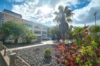Oficina en venta en Isleta en Palmas de Gran Canaria(Las)