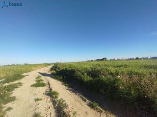 Terreno en venta en Almonte en Almonte