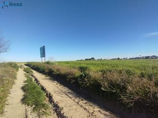 Terreno en venta en Almonte en Almonte
