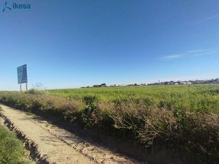 Terreno en venta en Almonte en Almonte