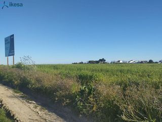Terreno en venta en Almonte en Almonte