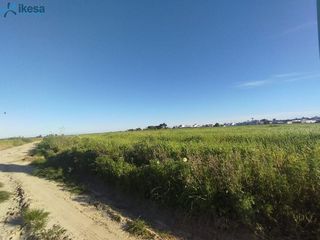 Terreno en venta en Almonte en Almonte