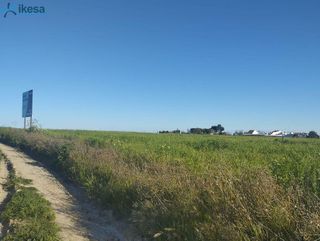Terreno en venta en Almonte en Almonte