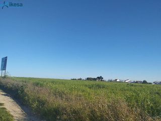 Terreno en venta en Almonte en Almonte