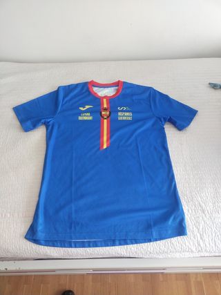 Sudadera y Camiseta Balonmano España