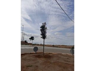 Terreno en venta en Alcarràs