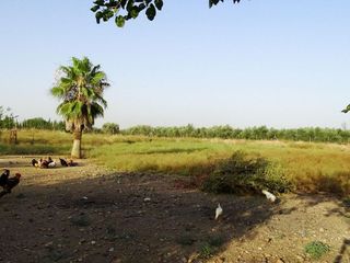 Chalet en venta en Carmona