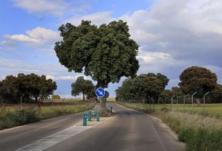 Terreno en venta en Chiloeches
