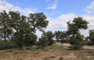 Terreno en venta en Chiloeches