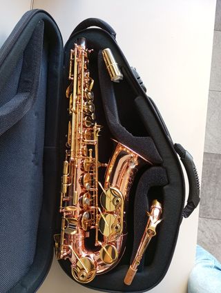 Saxo Alto Buffet Senzo BC2525-7B-0