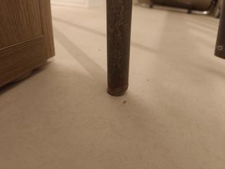 Patas de bañera Stokke Flexi Bath y adaptador