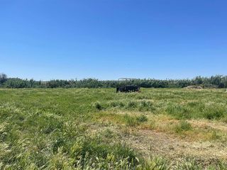 Terreno en venta en Salteras