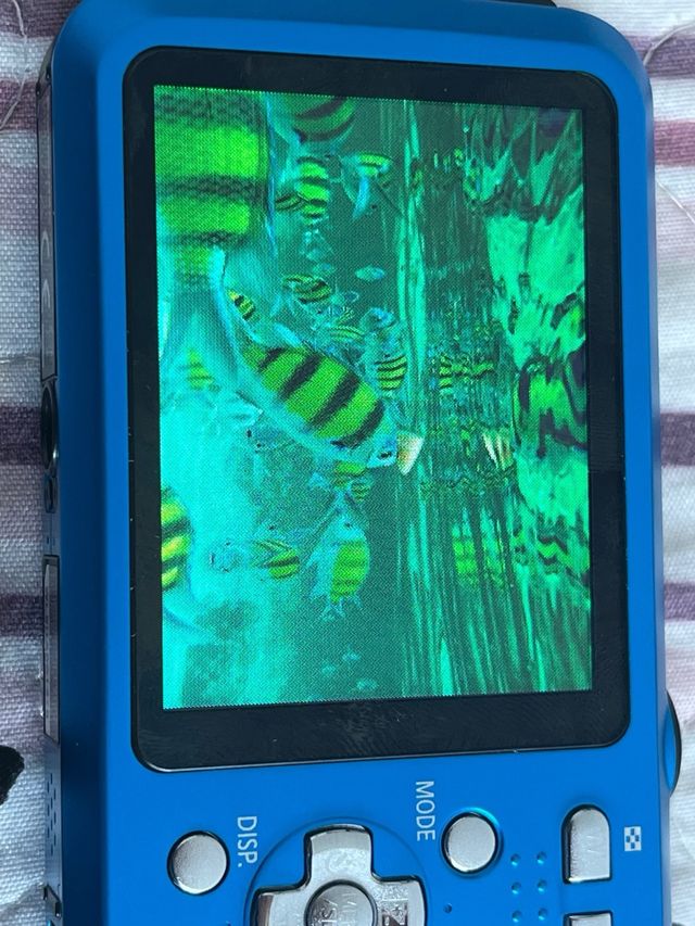 Panasonic Lumix DC Vario Acuática