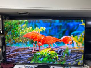 Televisor Samsung Negro