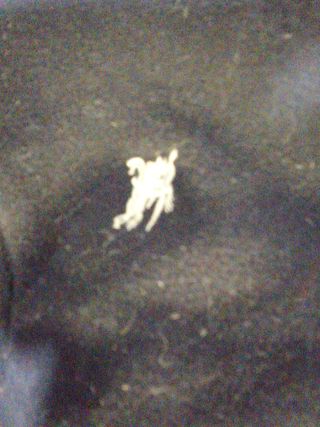 Chaqueta Burberrys ante Talla L