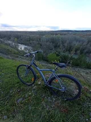 Bicicleta Híbrida BTWIN