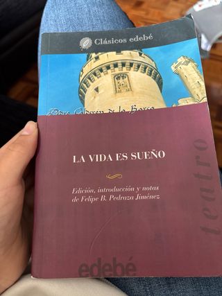 La vida es sueño (Clasicos Edebe / Edebe Classi...