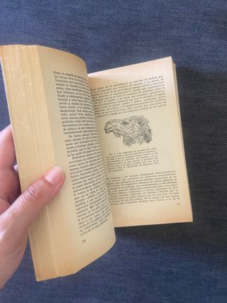 Consideraciones sobre las conductas animal y hu...