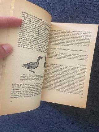 Consideraciones sobre las conductas animal y hu...