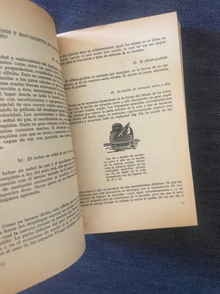 Consideraciones sobre las conductas animal y hu...