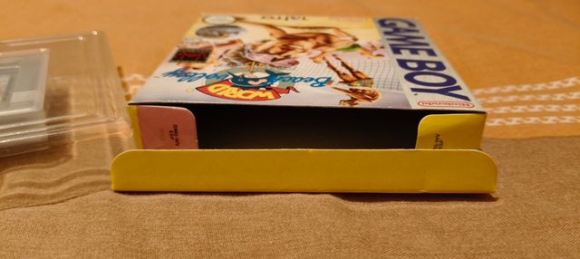 World Beach Volley Game Boy