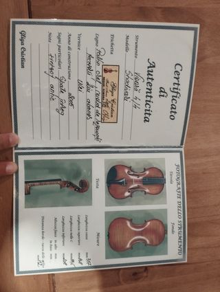 Violín 4/4  Tasado por Luthier
Gliga Cristian. 