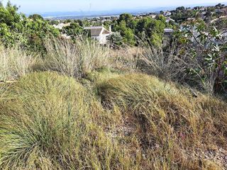 Terreno en venta en Alginet