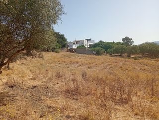 Finca 3 hectáreas con casa y nave