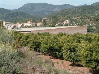 Terreno en venta en Onda