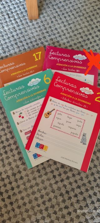 Lecturas Comprensivas (Libros Escolares)