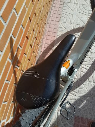 Focus JAM 6.8 +  Regalo Dirt