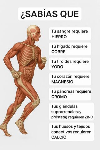 Terapias solamente a domicilio.