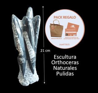 Escultura Fósiles de Orthoceras Naturales Pulidas