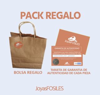 Escultura Fósiles de Orthoceras Naturales Pulidas