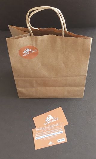 Escultura Fósiles de Orthoceras Naturales Pulidas