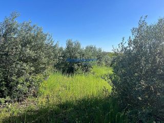 Terreno en venta en La Hacienda - Nueva Andalucía en Dos Hermanas