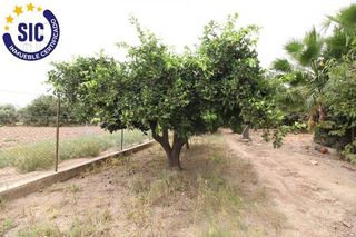 Chalet en venta en Sant Pau en Valencia