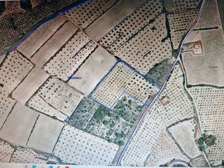 Terreno en venta en Yecla