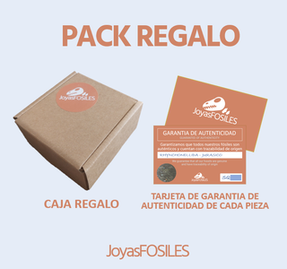 Conjunto 4 Amuletos Fósiles Ancestrales SOLO HOY