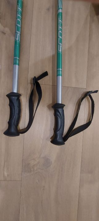 Bastones de esquí Scott 105 cm