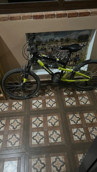 Bicicleta infantil negra y verde