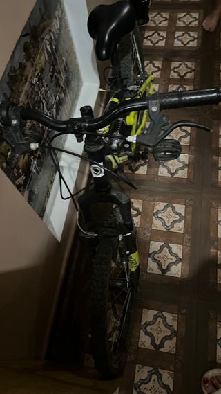 Bicicleta infantil negra y verde