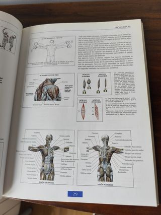 Libros de musculación 