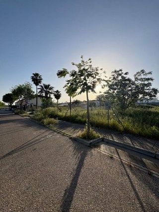 Terreno en venta en Almensilla