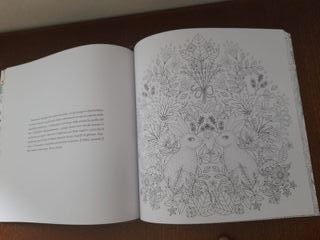 Libro nuovo La ninfa di porcellana. libro da color