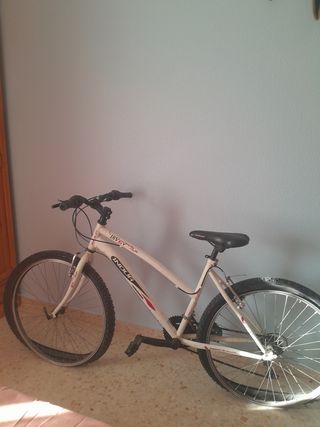 Bicicleta INDUR 18V 6Y