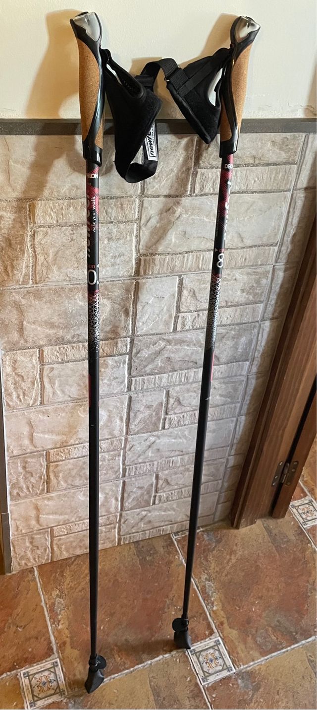 Bastones Marcha Nórdica Carbono