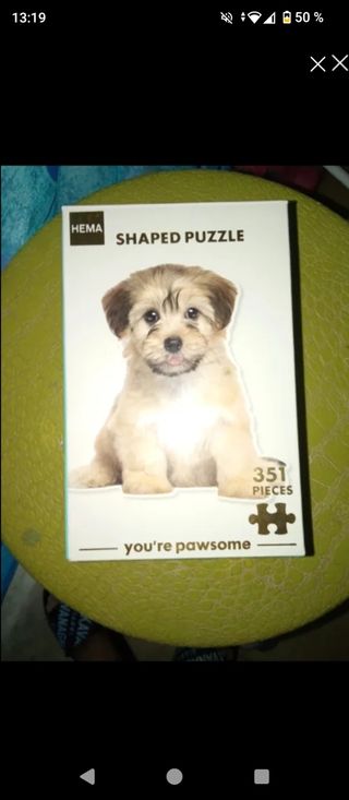 Puzzle HEMA Perro Cachorro 351 Piezas
