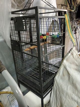 Jaula para loro