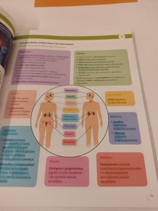 Biologia i Geologia 3ºESO - Construint mons - 9788413152530
